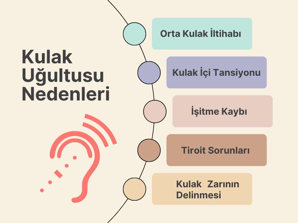 Kulak uğultusu nedenlerini gösteren bir infografik